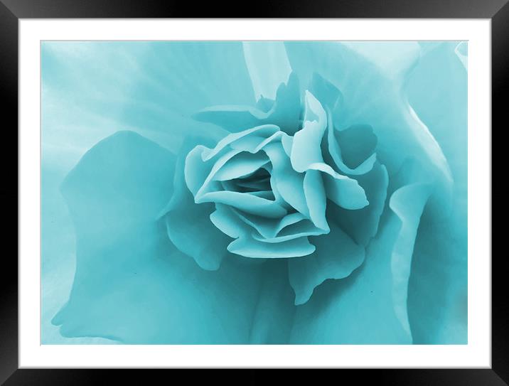 Petals Framed Mounted Print by Jeni Harney