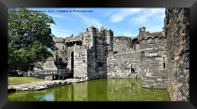 Medieval fortress surrounded by nature Framed Print by Mark Chesters