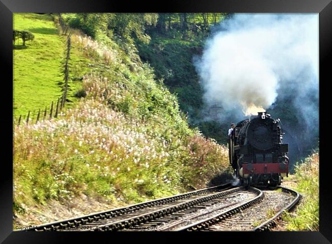 Majestic Steam Engine Emerging from a Lush Tunnel Framed Print by Mark Chesters