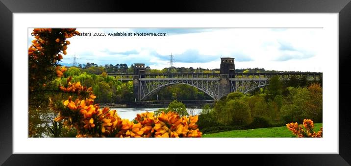  Britannia Bridge Anglesey  Framed Mounted Print by Mark Chesters