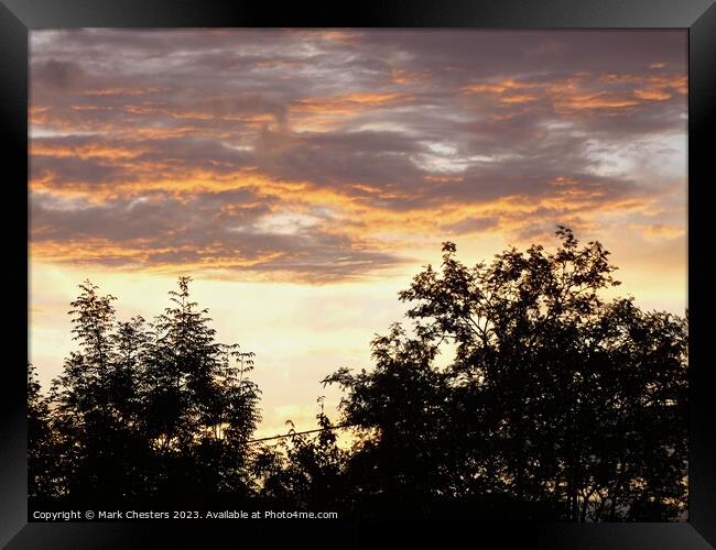 Serene Trees Embraced by the Setting Sun Framed Print by Mark Chesters