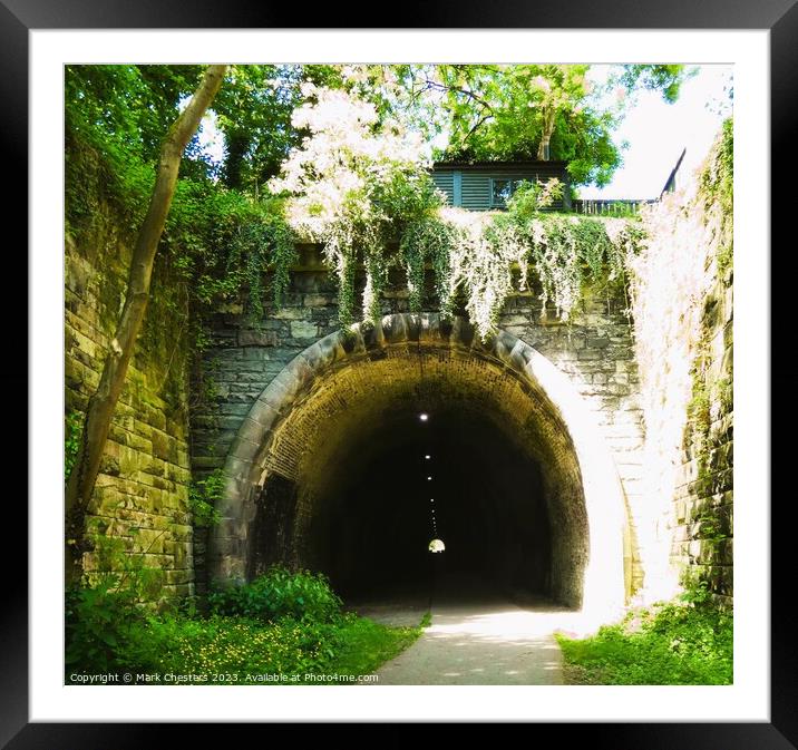 Ashbourne tunnel Framed Mounted Print by Mark Chesters