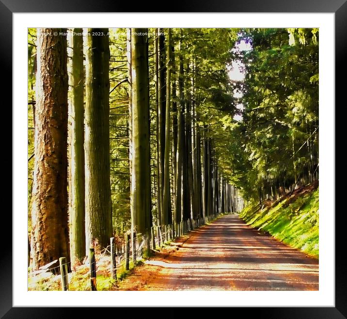 Avenue of trees Framed Mounted Print by Mark Chesters
