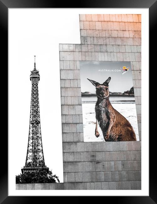 Kangaroo in Paris Framed Print by John Hemming