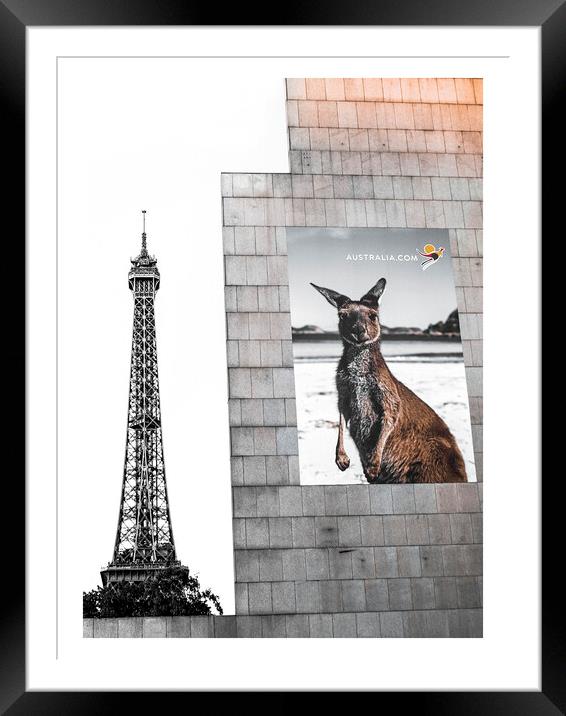 Kangaroo in Paris Framed Mounted Print by John Hemming