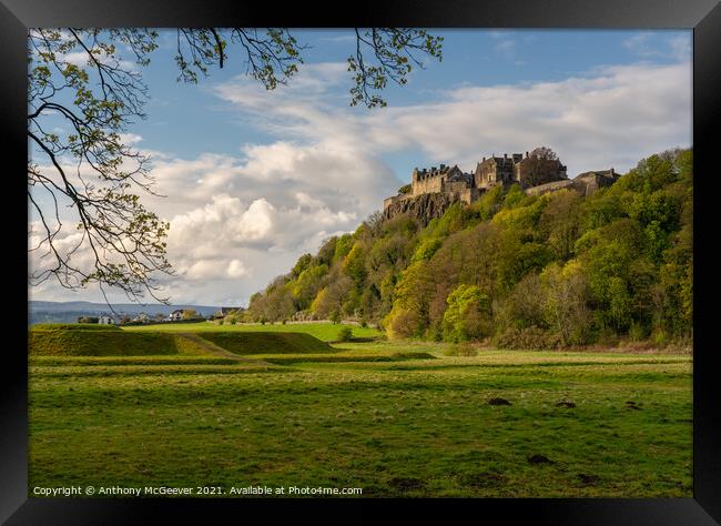 Stirling Castle  Framed Print by Anthony McGeever