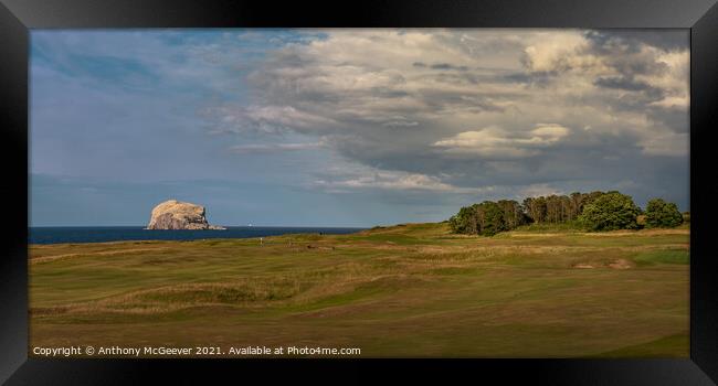 North Berwick golf course and Bass rock  Framed Print by Anthony McGeever