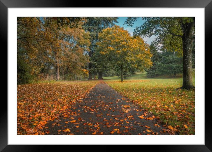 Autumn Sunrise  Framed Mounted Print by Anthony McGeever