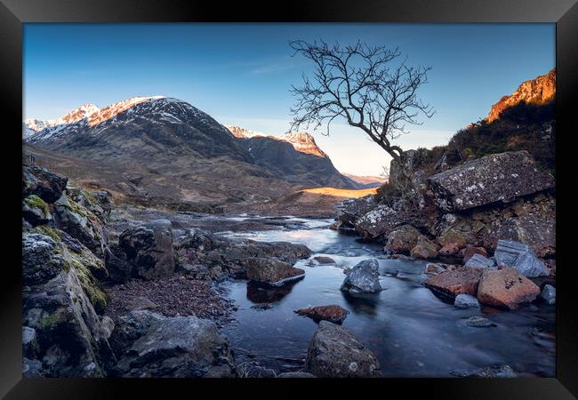 The lone tree and Three Sisters of Glencoe  Framed Print by Anthony McGeever