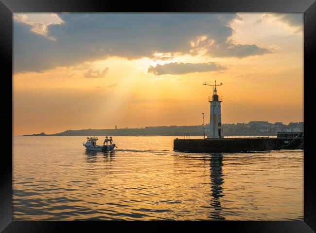 Harbour Life  Framed Print by Anthony McGeever