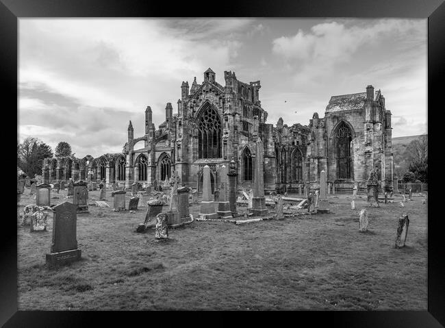 Melrose Abbey Black and White  Framed Print by Anthony McGeever