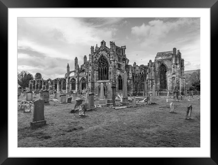 Melrose Abbey Black and White  Framed Mounted Print by Anthony McGeever