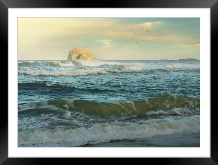 Bass Rock  Framed Mounted Print by Anthony McGeever