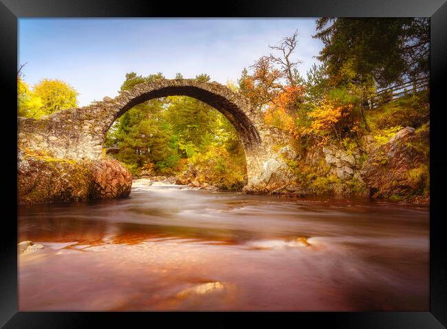 Carrbridge Packhorse Bridge  Framed Print by Anthony McGeever