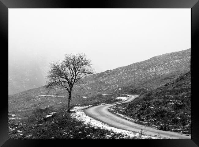 Glen Etive Winter Tree Framed Print by Anthony McGeever