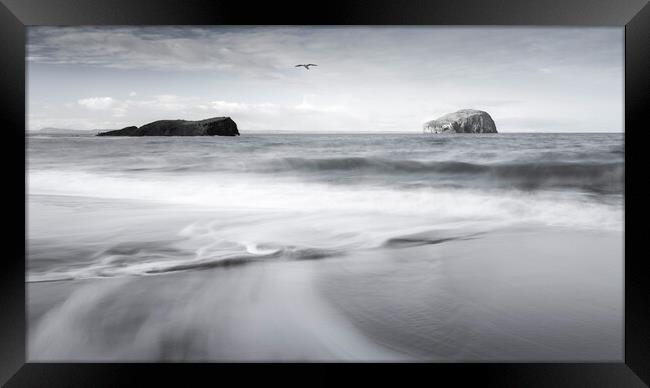 Seacliff Beach and Bass Rock  Framed Print by Anthony McGeever