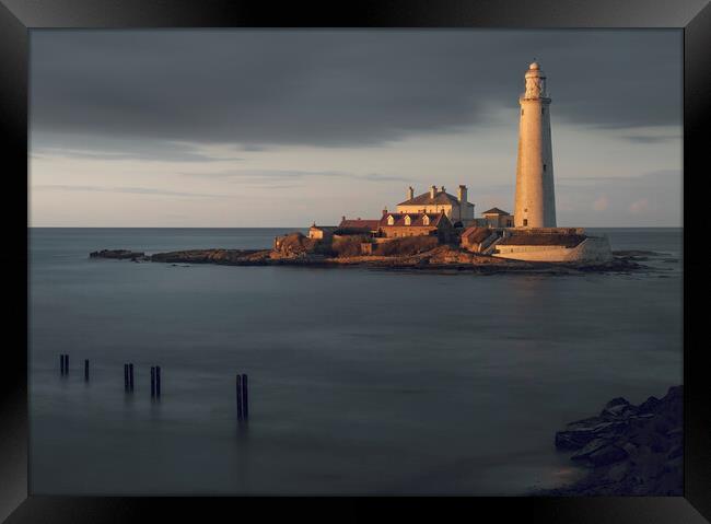 St Marys Lighthouse  Framed Print by Anthony McGeever