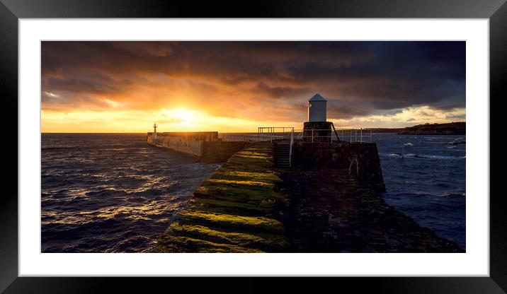 Pittenweem Harbour Sunset Framed Mounted Print by Anthony McGeever