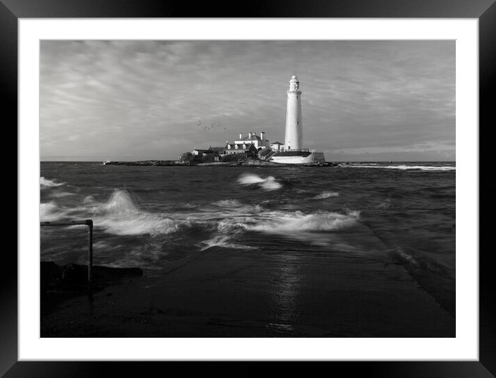 St Marys Lighthouse Black and White  Framed Mounted Print by Anthony McGeever