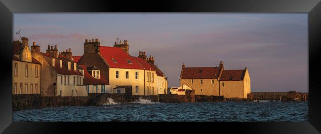 Golden Light On Pittenweem Framed Print by Anthony McGeever