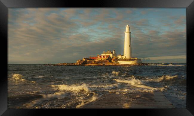 St Marys Lighthouse Sunset  Framed Print by Anthony McGeever