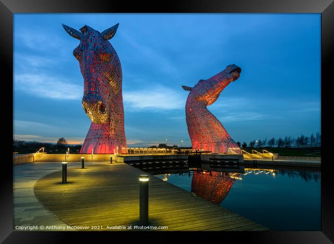The Kelpies Falkirk Scotland colour  Framed Print by Anthony McGeever