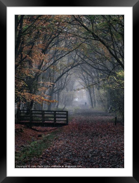 Autumn woods walk,misty Framed Mounted Print by That Foto