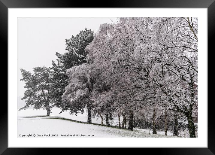 Winter Snow covered line of trees Framed Mounted Print by That Foto