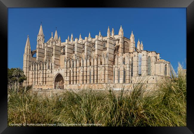 Palma Cathedral La Seu in Palma, Majorca Framed Print by MallorcaScape Images