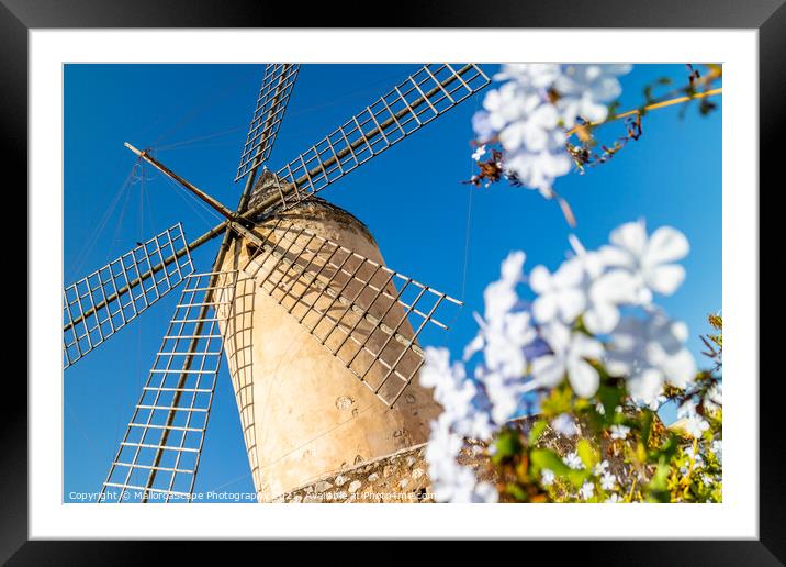 Historic windmill of Es Jonquet, Palma, Majorca Framed Mounted Print by MallorcaScape Images