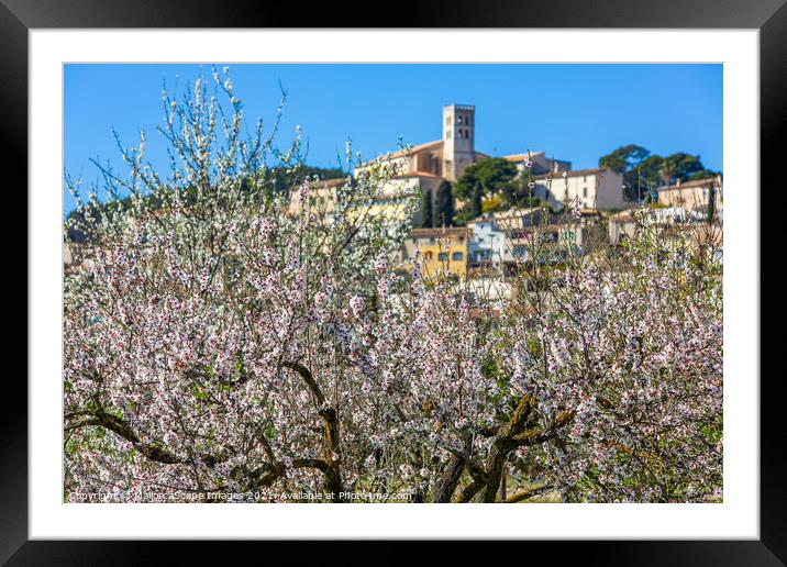Almond blossom season in village Selva, Majorca Framed Mounted Print by MallorcaScape Images