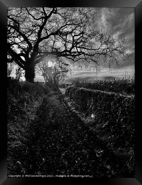 Winter Devon lane Framed Print by Phil Vandenhove