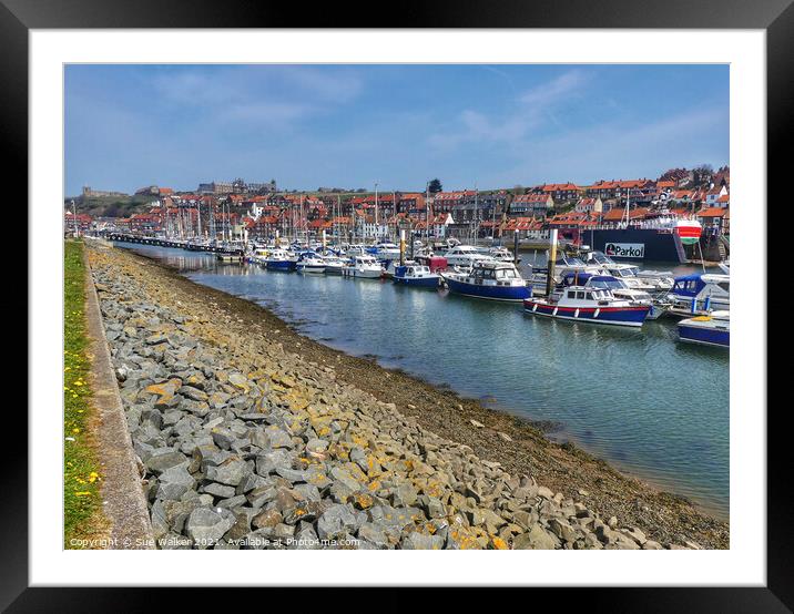 Whitby Harbour Framed Mounted Print by Sue Walker