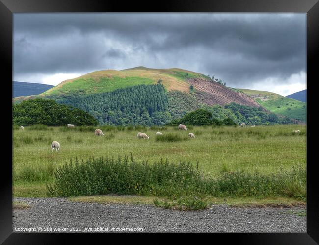 Keswick, English Lake District Framed Print by Sue Walker