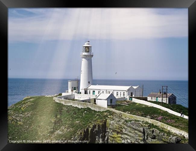 South Stack lighthouse, Anglesey  Framed Print by Sue Walker