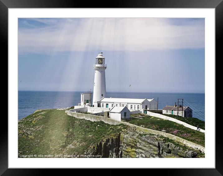 South Stack lighthouse, Anglesey  Framed Mounted Print by Sue Walker