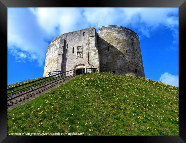 Cliffords Tower, York Framed Print by Sue Walker