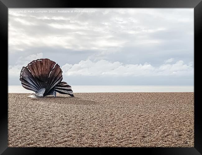 The Scallop  Framed Print by Mark Lumpkin