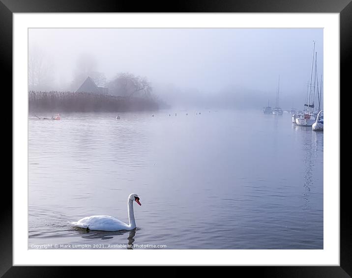 Morning Mist  Framed Mounted Print by Mark Lumpkin