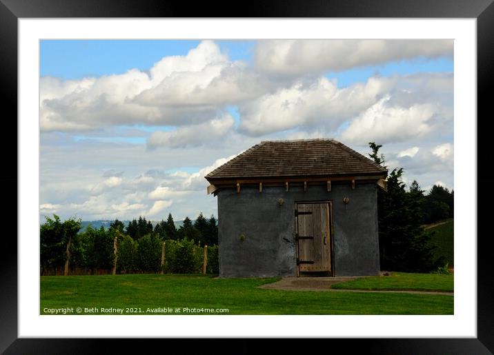 Oregon Vineyard Framed Mounted Print by Beth Rodney