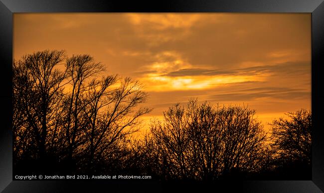 Winters Low Sun, Hutton Country Park Framed Print by Jonathan Bird