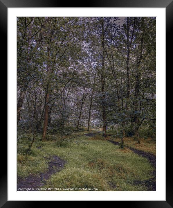 A Path Out Framed Mounted Print by Jonathan Bird