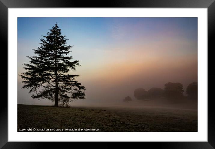Weald Country Park, Lone Pine Framed Mounted Print by Jonathan Bird