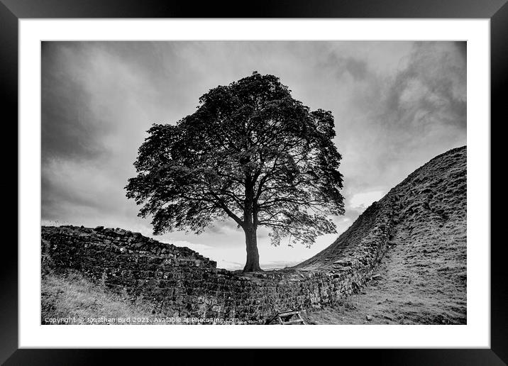 Sycamore Gap, Spanning the Divide Framed Mounted Print by Jonathan Bird