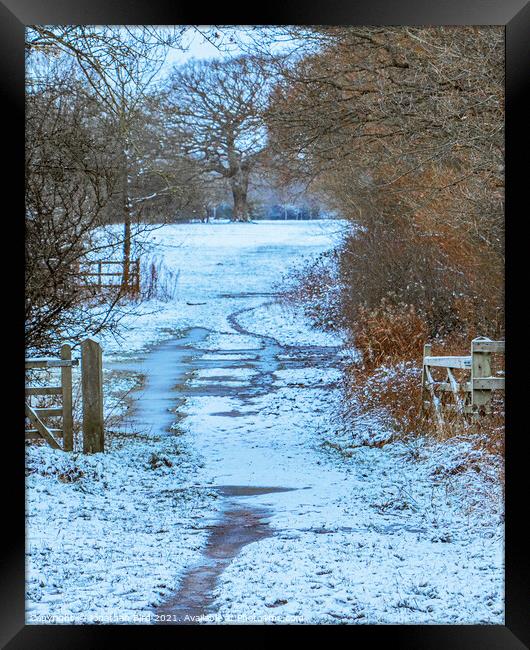 Winter, Hutton Country Park  Framed Print by Jonathan Bird