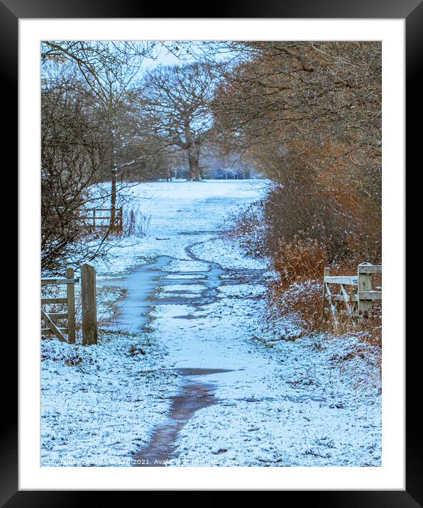 Winter, Hutton Country Park  Framed Mounted Print by Jonathan Bird