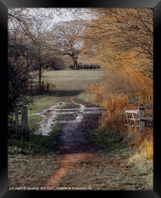 A well Worn Path, Hutton Country Park  Framed Print by Jonathan Bird