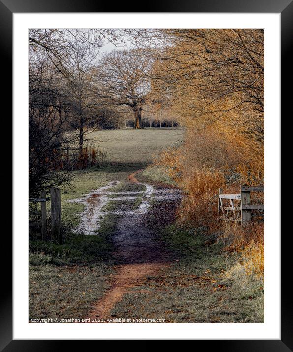 A well Worn Path, Hutton Country Park  Framed Mounted Print by Jonathan Bird