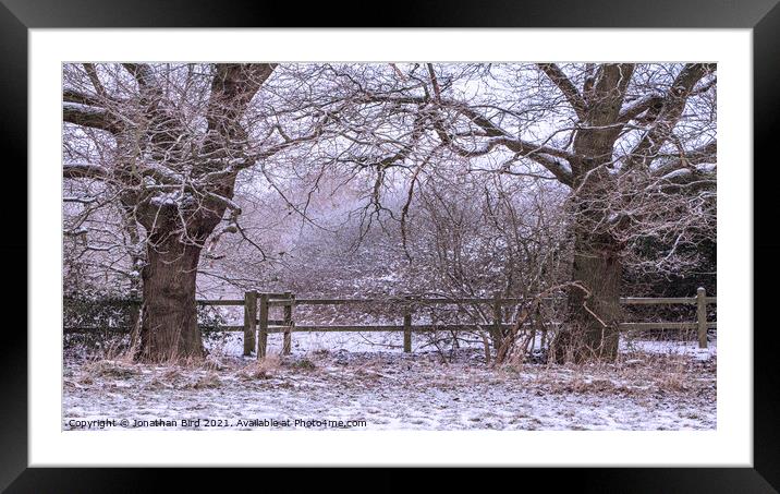 Sentry Oaks, Hutton Country Park Framed Mounted Print by Jonathan Bird