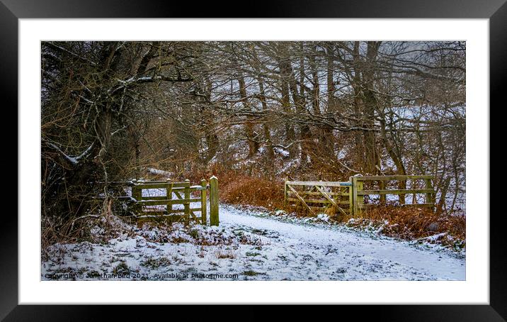 Winter in Hutton Country Park  Framed Mounted Print by Jonathan Bird
